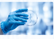 Chemical, Cosmetics & Consumer Health
